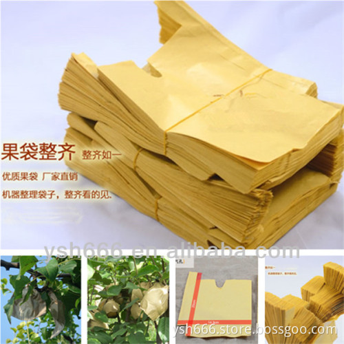 Pear protective paper bag with different size cheap price